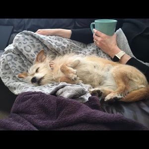 Meet your Posher, Zoe